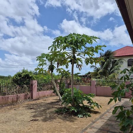 Chander'S Villa パラマリボ エクステリア 写真