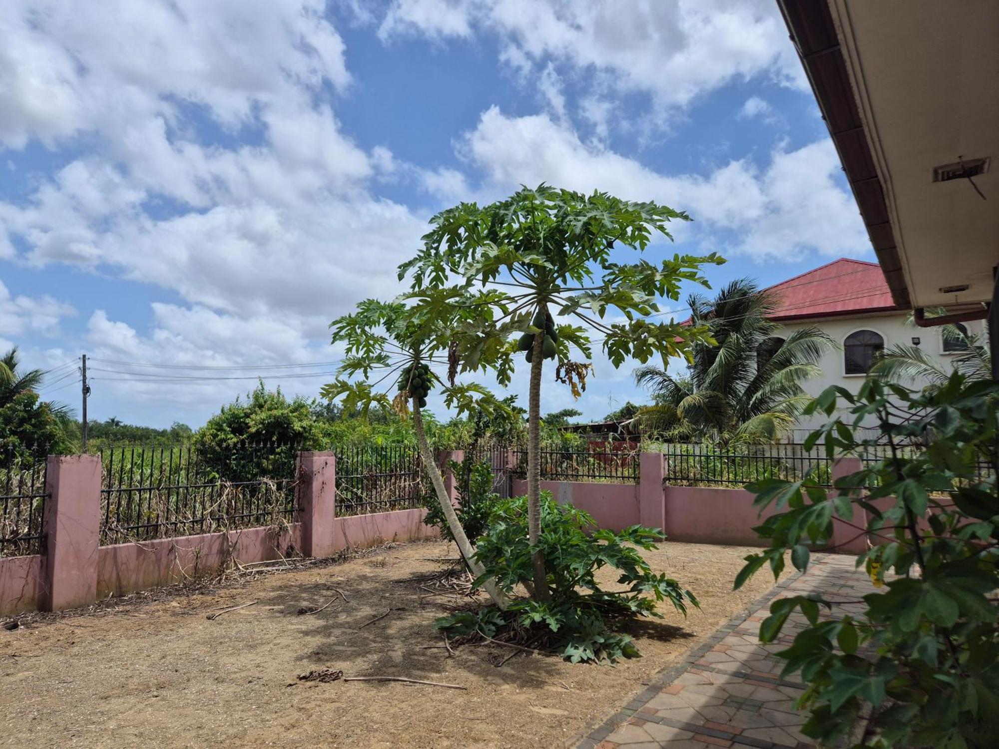 Chander'S Villa パラマリボ エクステリア 写真